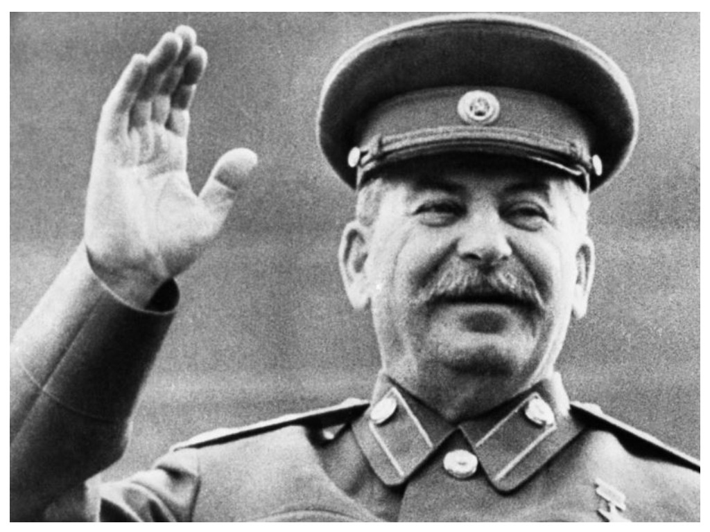 Надежда васильевна сталина биография личная жизнь