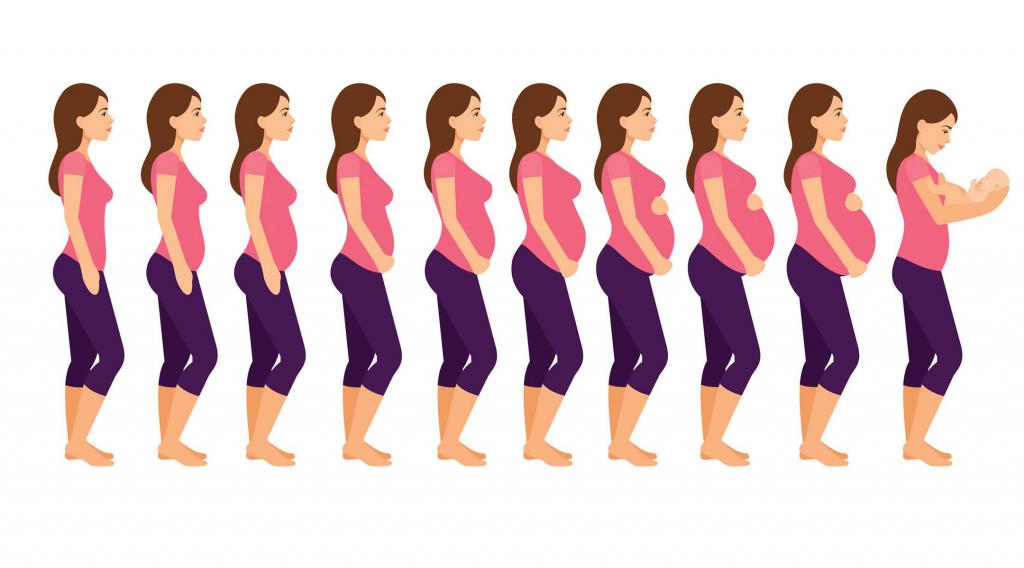 Трансформация тела во время беременности