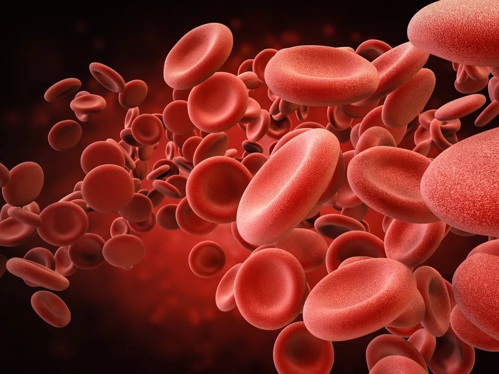 Концентрация гемоглобина в крови thumbnail