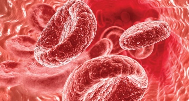 Гемоглобин в эритроците повышен при thumbnail