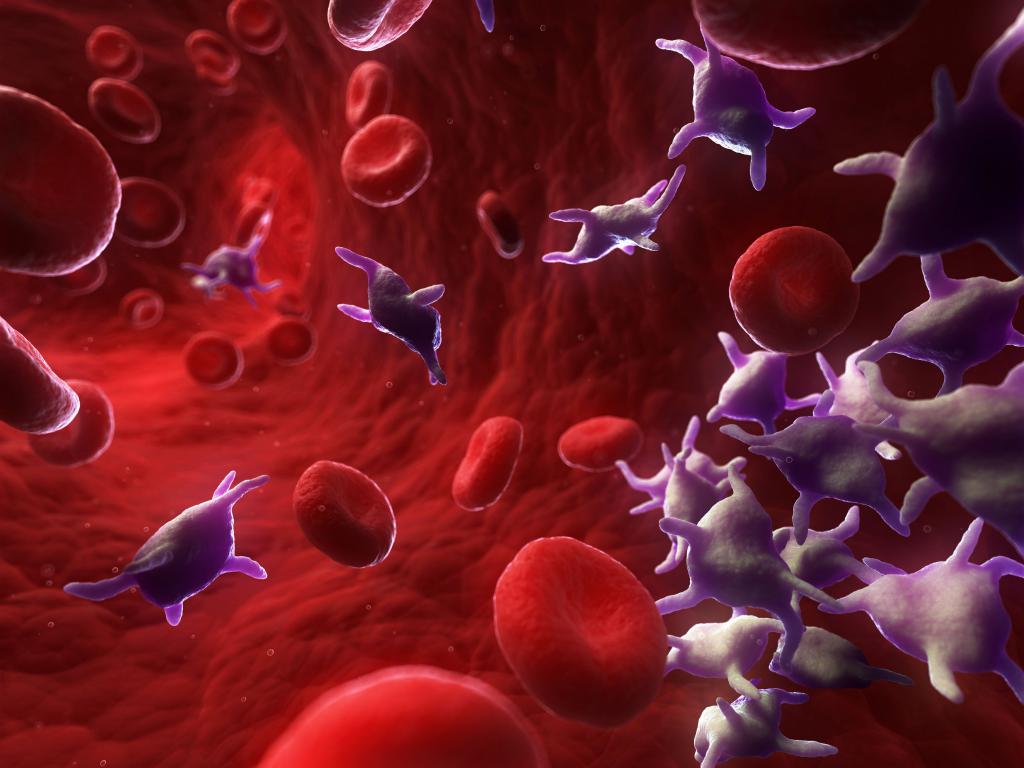 Гемоглобин нормальный тромбоциты снижены thumbnail