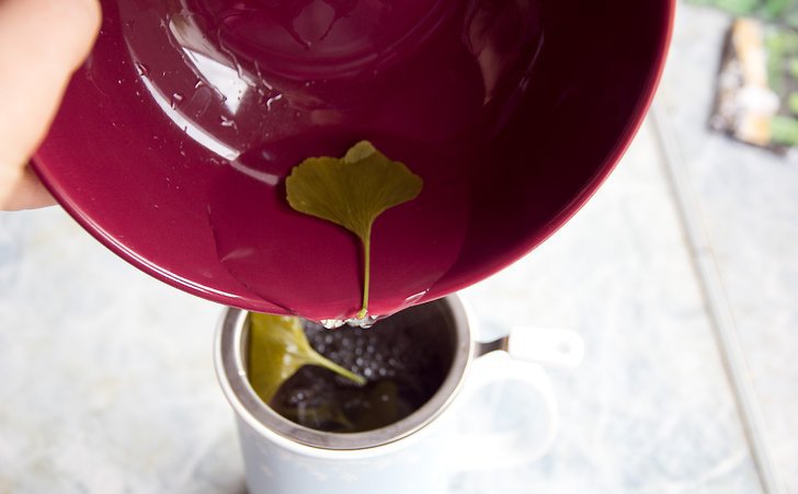 Как заваривать чай с гинкго билоба
