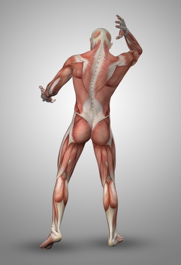 От чего болят все мышцы в теле человека thumbnail
