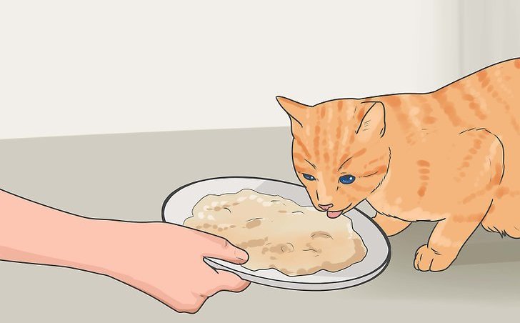 Зачем кошкам рыбий жир thumbnail