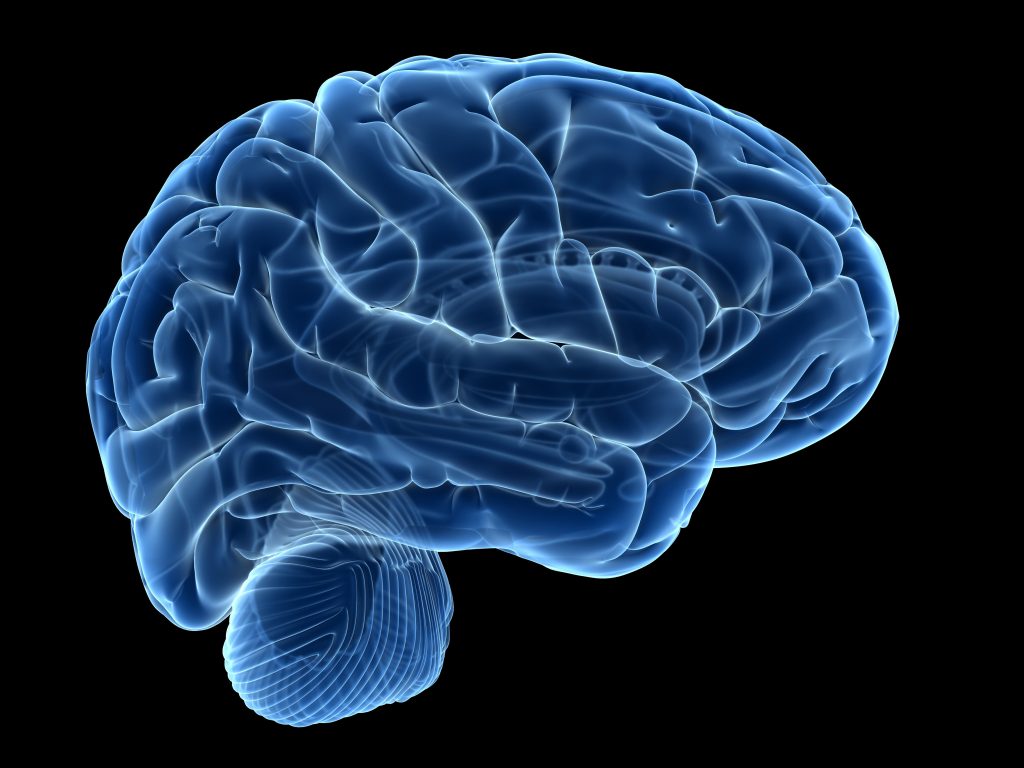 Синдром парацентральных долек головного мозга thumbnail