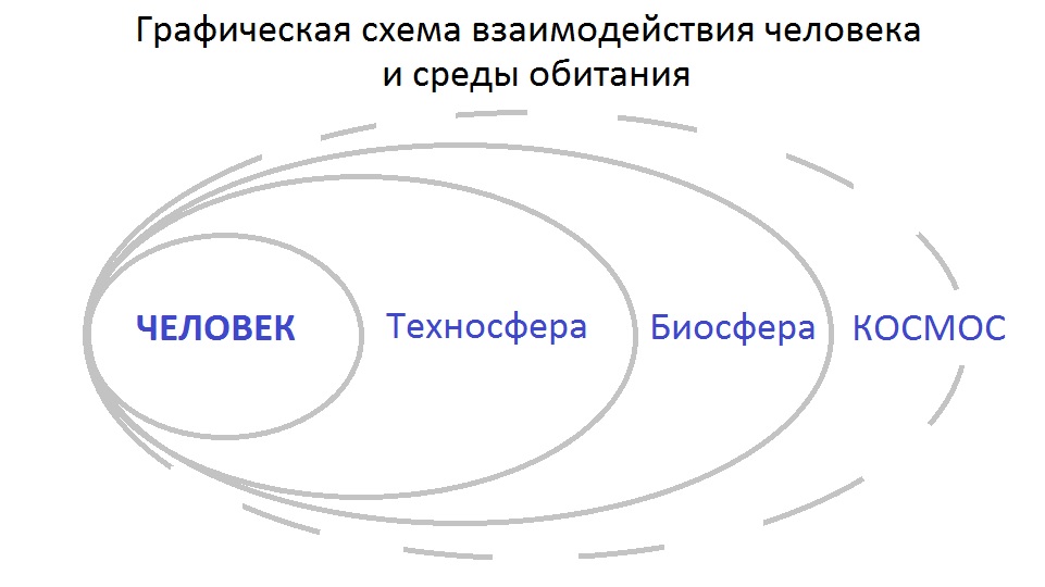 система человек среда обитания