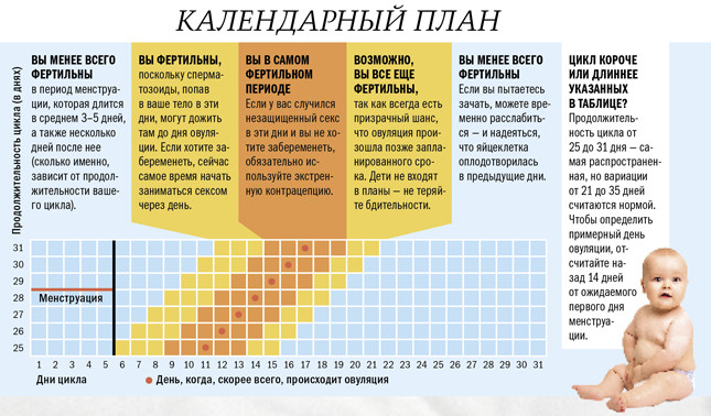 Календарь планирования ребенка