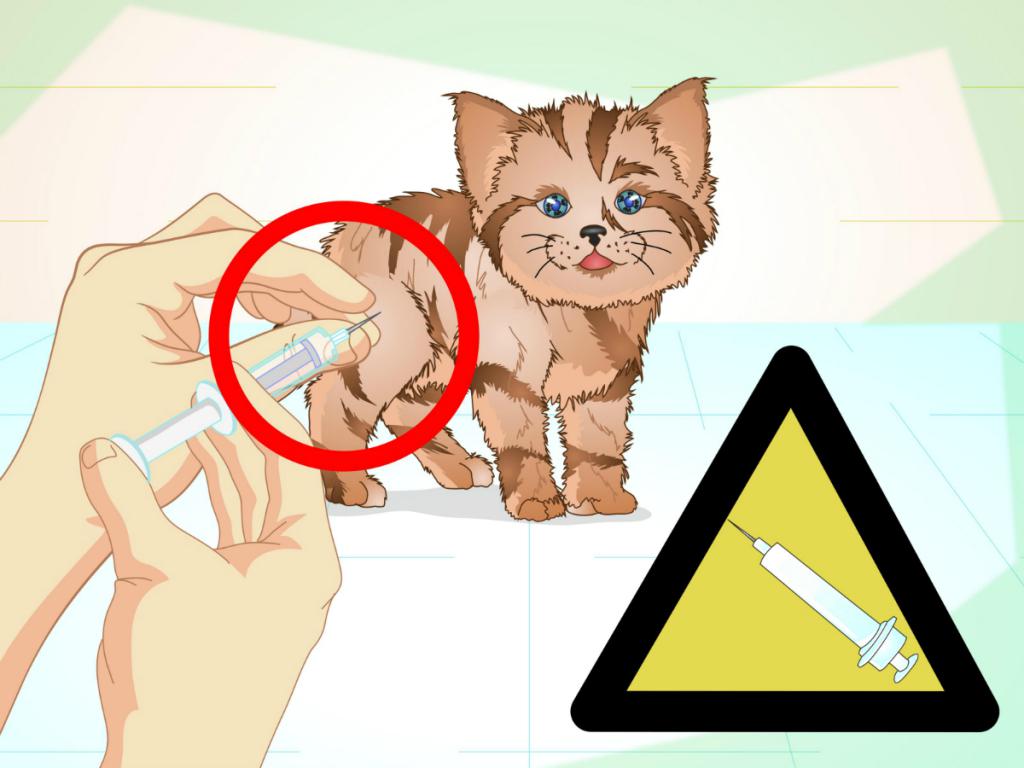 Как вылечить саркому у кошки thumbnail