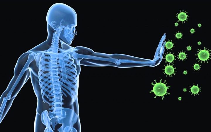 Клеточные факторы адаптивного иммунитета thumbnail