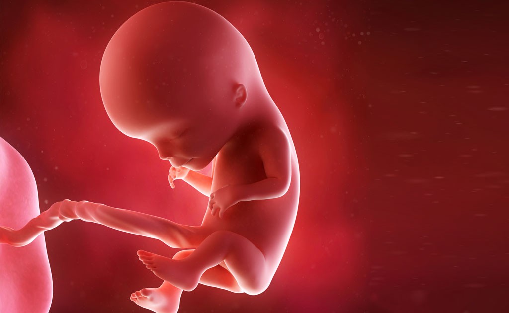 Активный ребенок в животе при беременности thumbnail