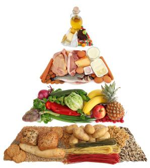 В состав нормальной диеты человека входит около 90 г жиров в сутки