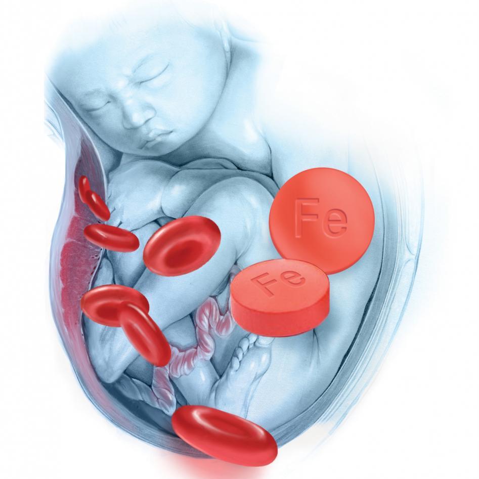 Пониженный гемоглобин в первом триместре беременности thumbnail