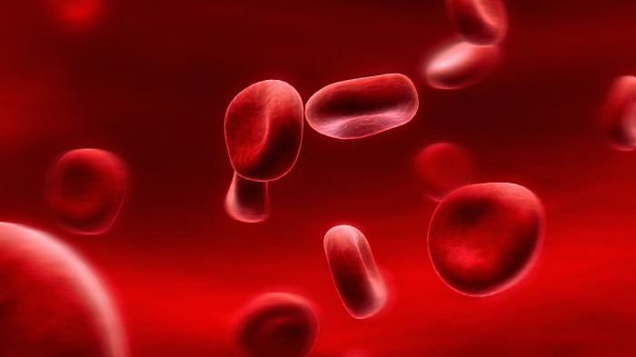 Какие есть противопоказания к переливанию крови thumbnail