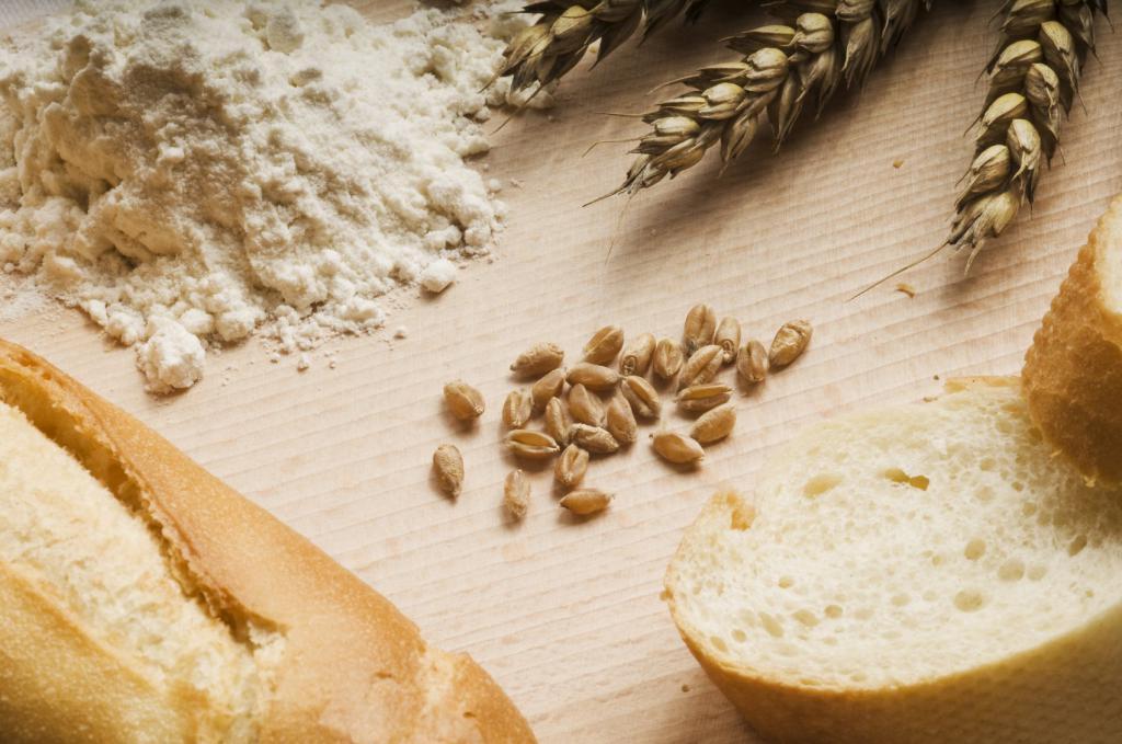 Как проявляется аллергия на пшеничную муку thumbnail