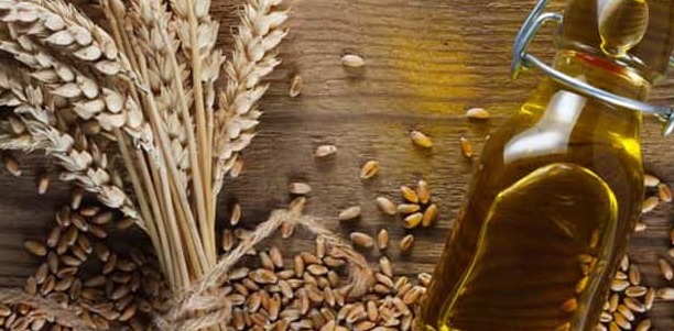 Масло зародышей пшеницы капсулы польза thumbnail