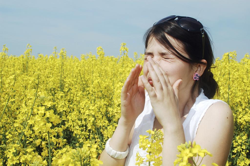 Сколько можно принимать супрастин при аллергии взрослым thumbnail