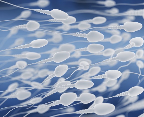 Сперма польза и вред для мужчин thumbnail