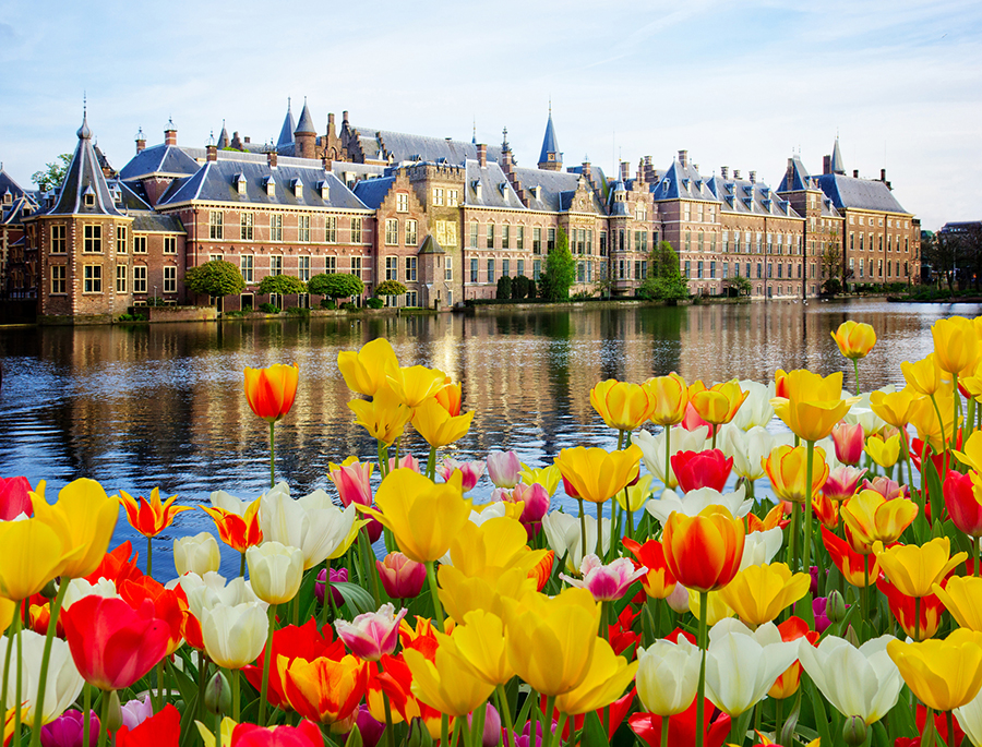 Амстердам, Голландия и тюльпаны