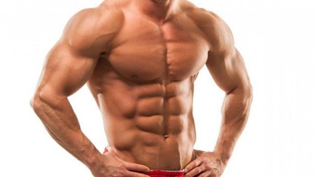 Мужская мускулатура развивается быстрее