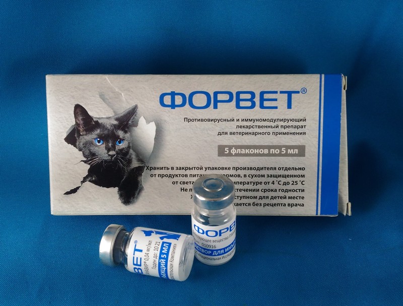 Какой противовирусный препарат дать кошке