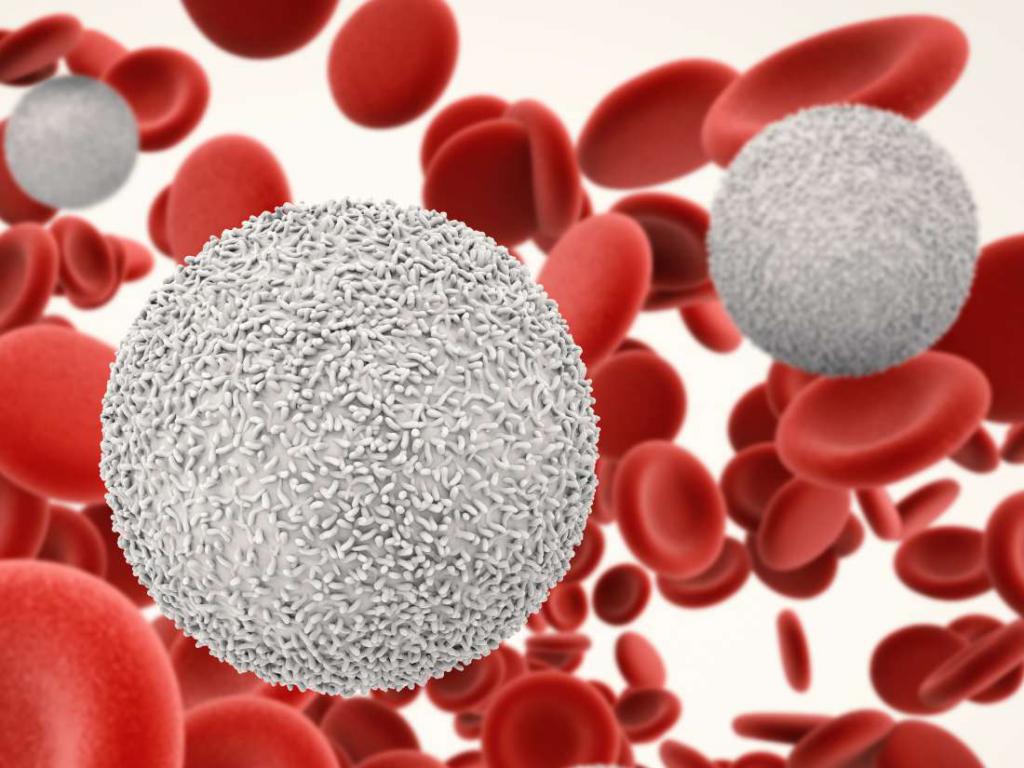Анализы крови при вич лейкоциты thumbnail