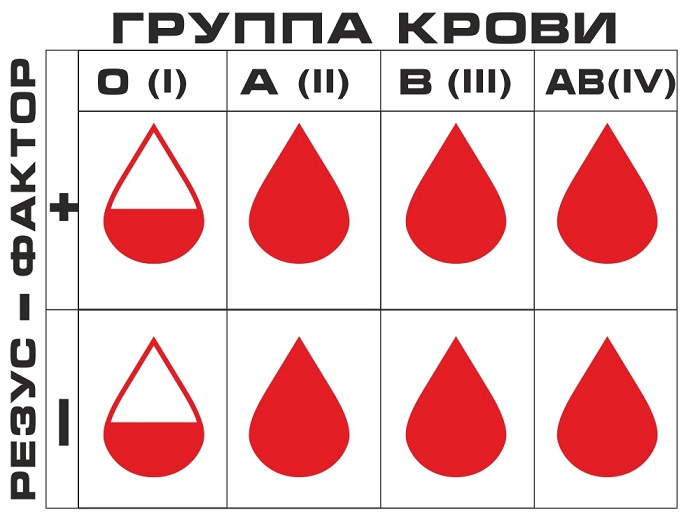 Резус-фактор крови