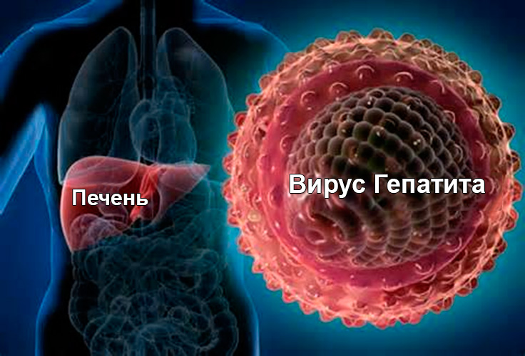 Анализ крови на гепатит сколько дней делают thumbnail