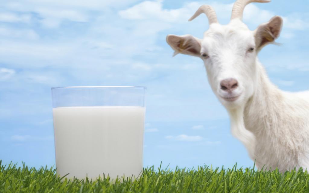 Коровье молоко и запоры thumbnail