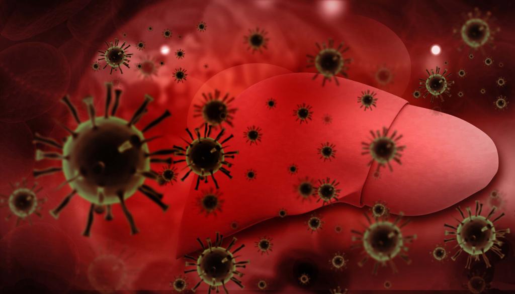 Вирусные гепатиты и их возбудители thumbnail