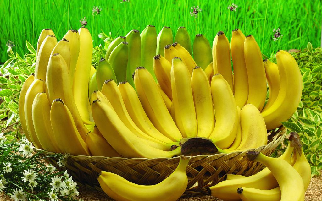 Зеленые бананы вызывают запор