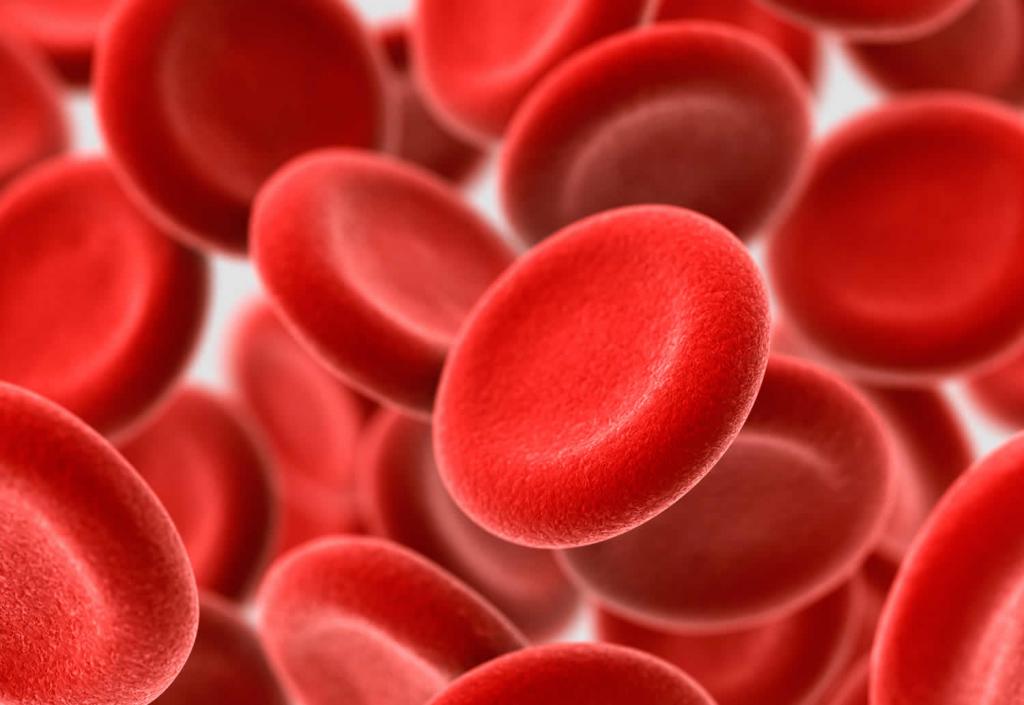 сколько делается биохимический анализ крови