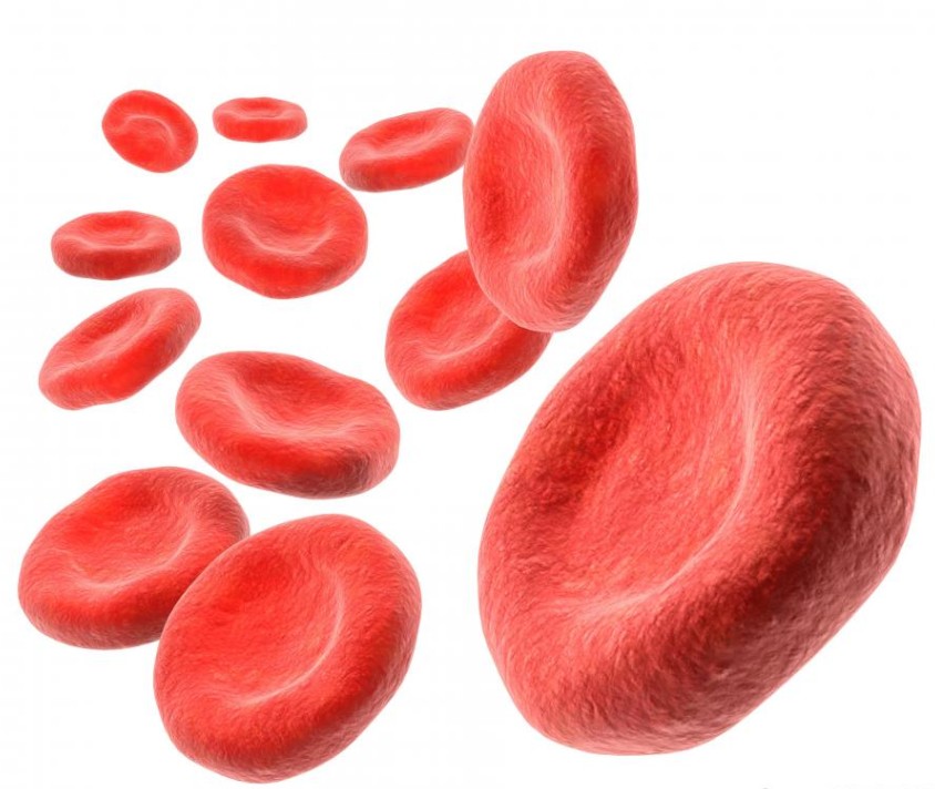 Общий анализ крови средняя концентрация гемоглобина понижена thumbnail