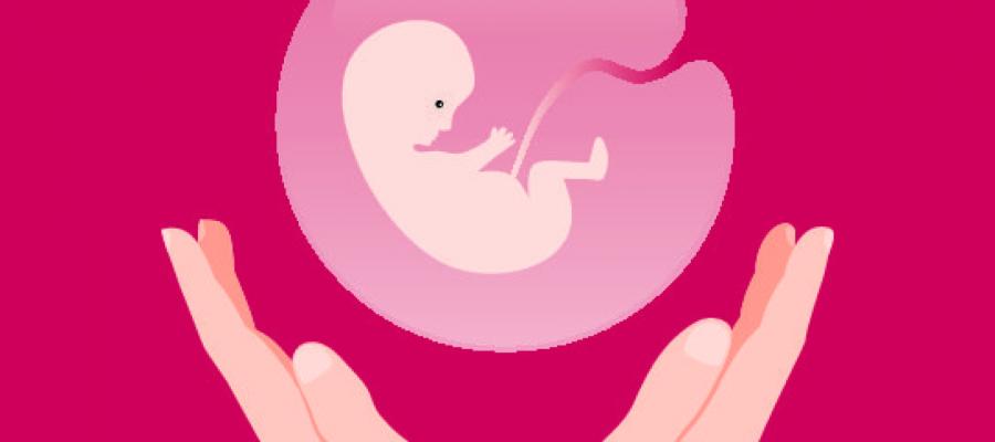 аборт на сроке 14 недель