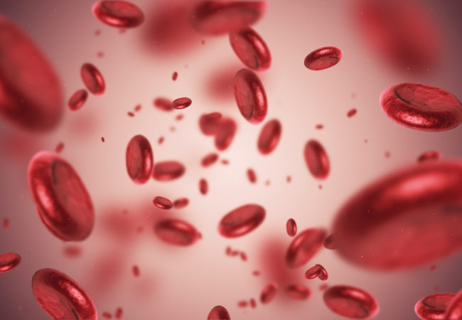 Картина крови при анемии хронических заболеваний thumbnail