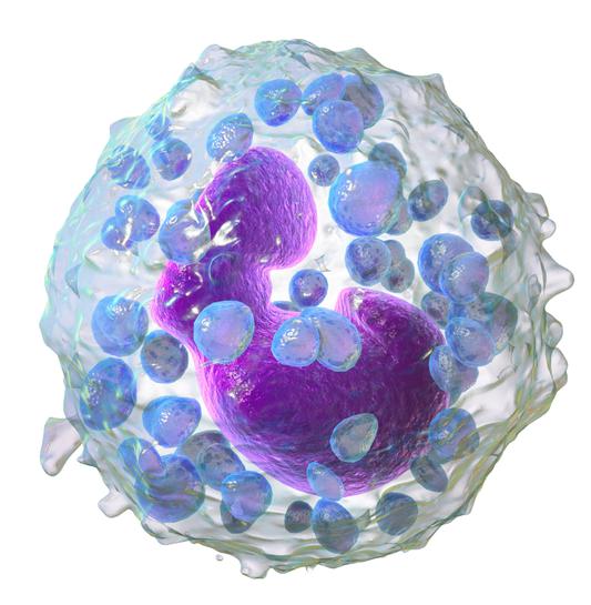 стабилизаторы мембран тучных клеток препараты список