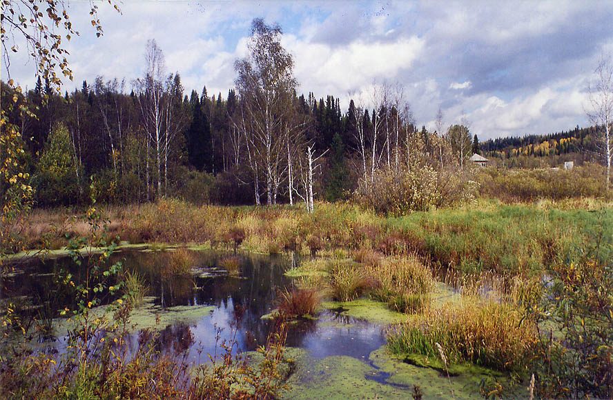 болотные руды России