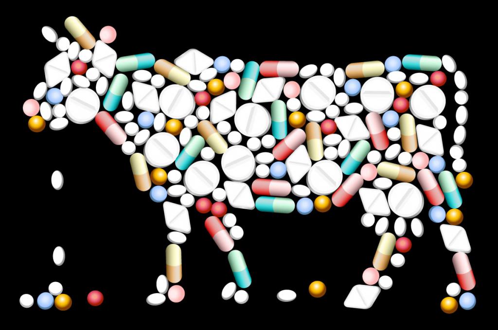 Можно ли молоко с антибиотиками