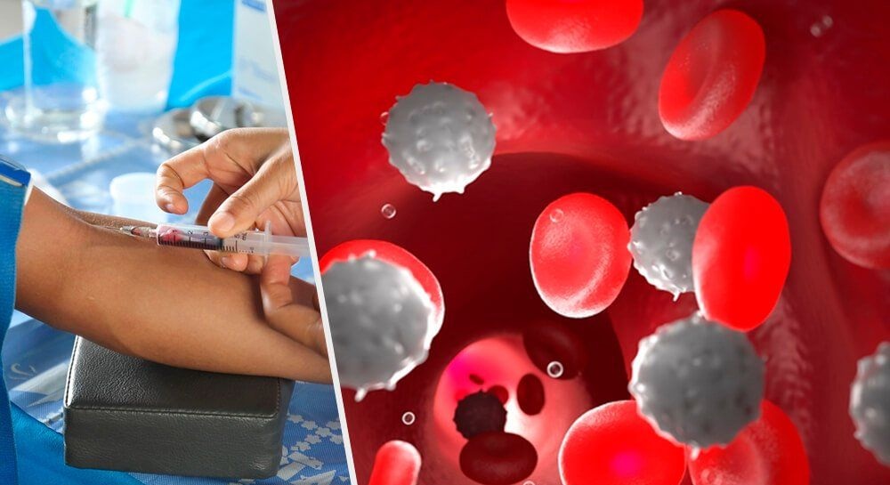лейкоциты в крови у ребенка 2 года
