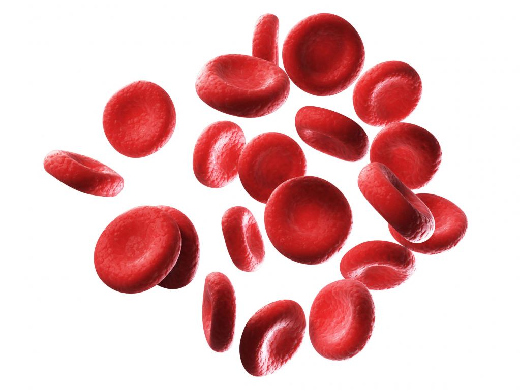 Клетки крови эритроциты
