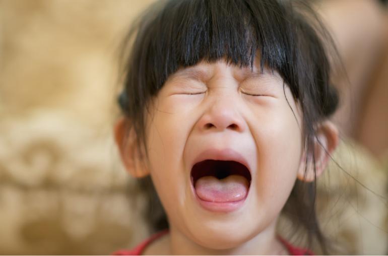 Что делать если ребенок плачет без причины 4 года thumbnail