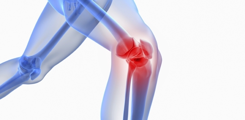 Истончение гиалиновый хряща коленного сустава лечение thumbnail