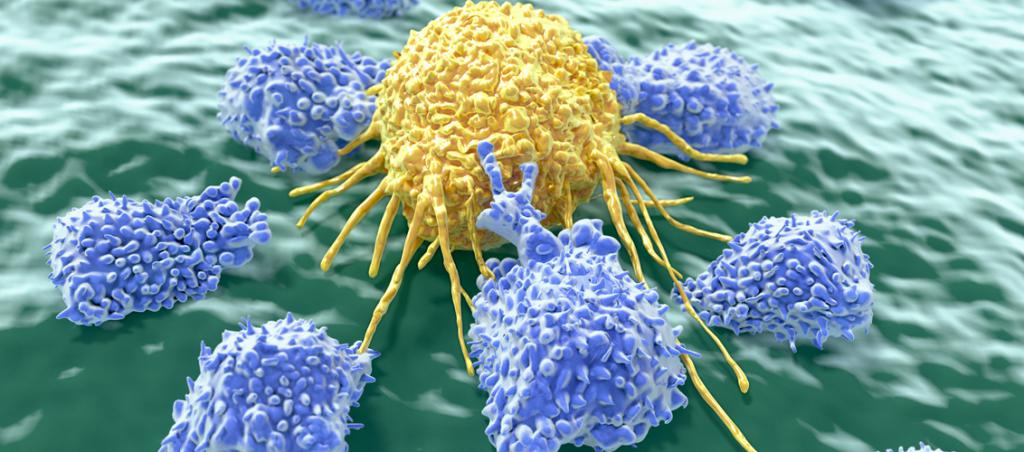 Макрофаги поглощают злокачественную клетку