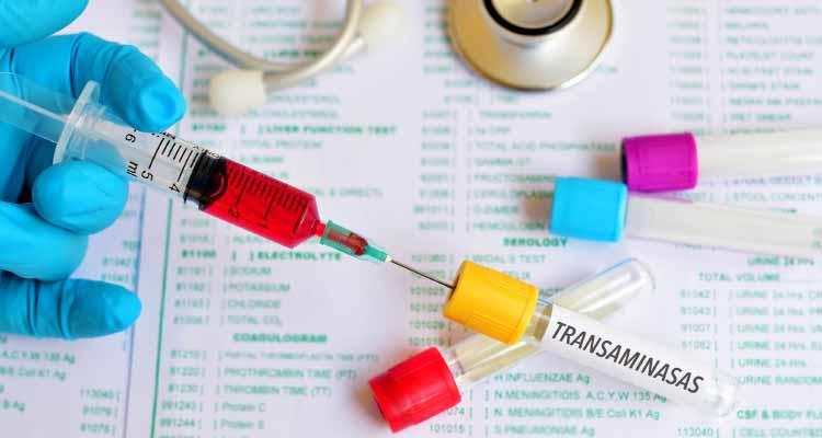 анализ на трансаминазы
