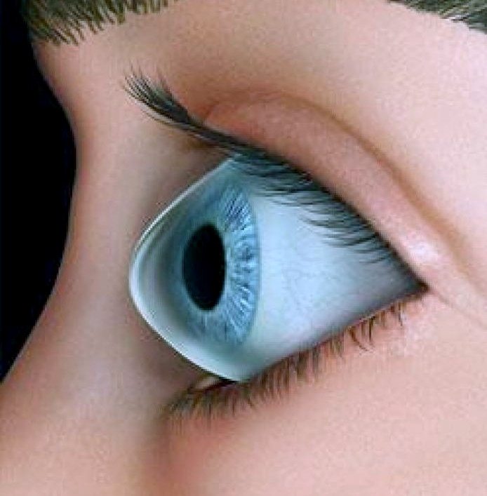 Болезни глаз у человека роговица глаза thumbnail