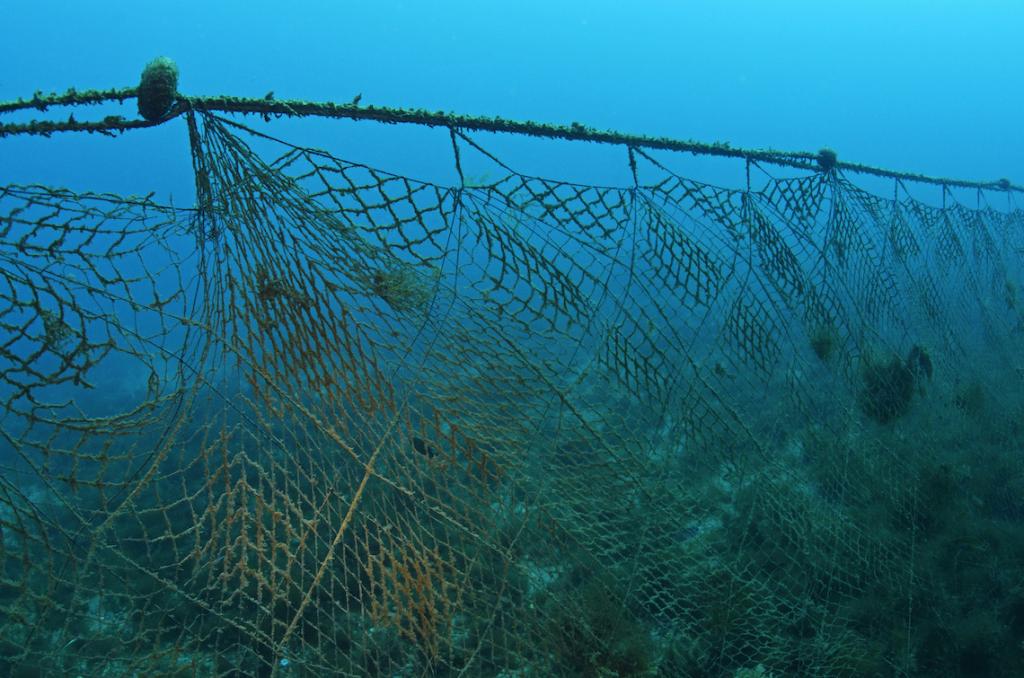 Рыболовная сеть под водой.