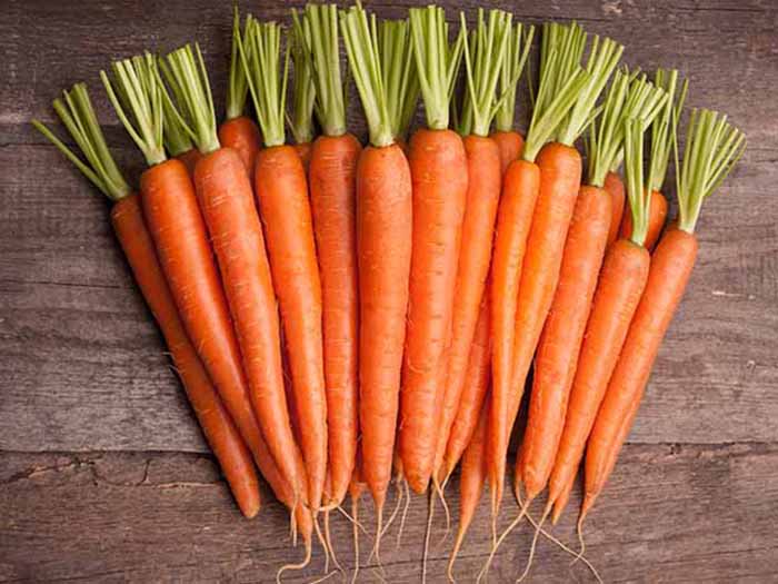 Салат морковь с чесноком и майонезом польза и вред thumbnail