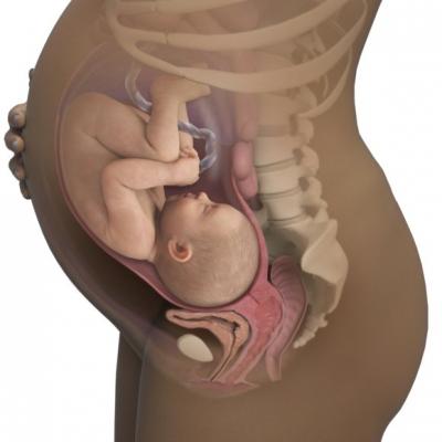 Как вылечить насморк на 38 неделе беременности thumbnail