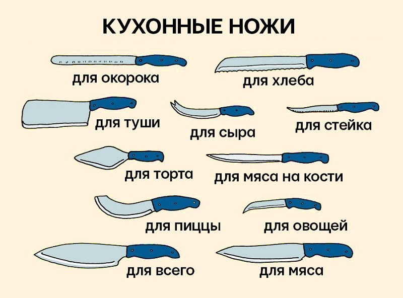 Виды ножевых. Форма столовых ножей. Виды ножей. Виды столовых ножей. Виды ножей по этикету.