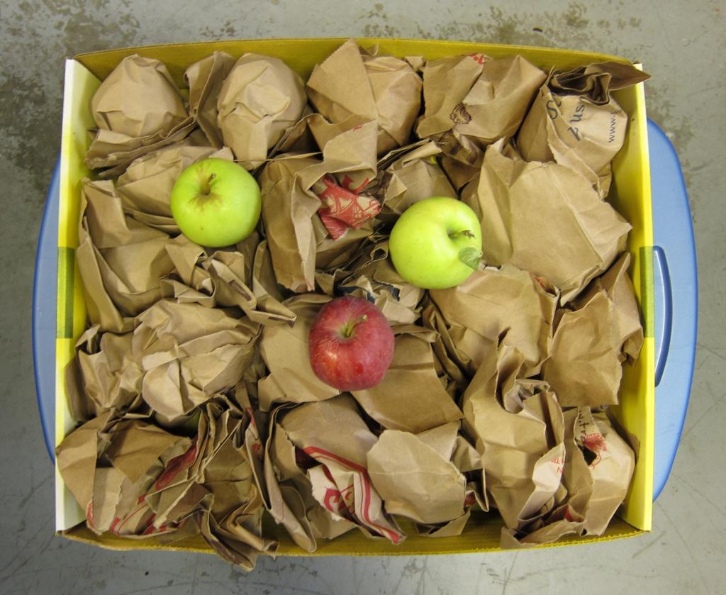 хранение яблок в пищевой пленке
