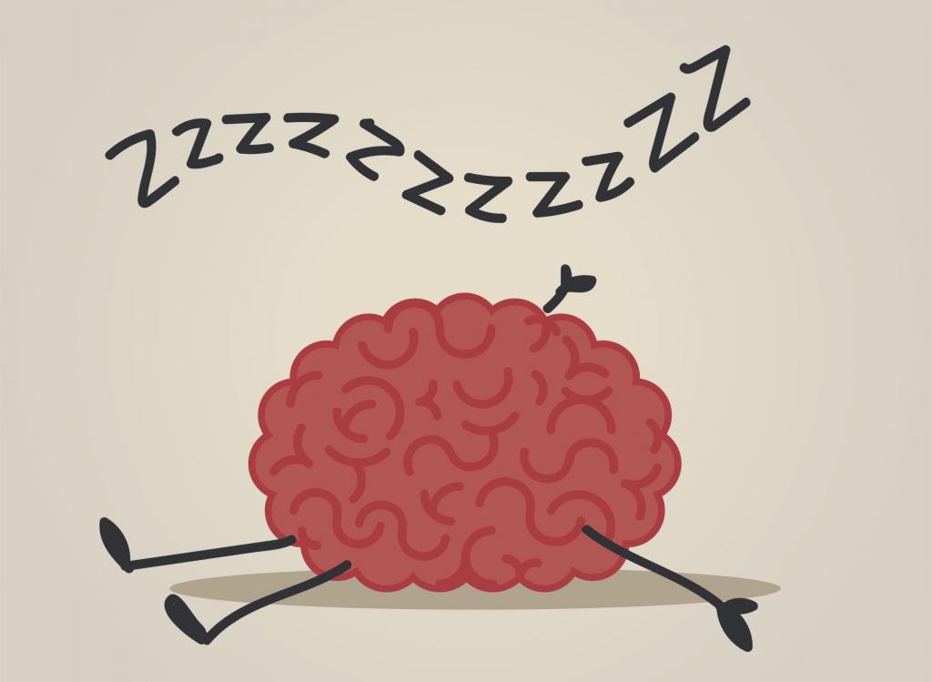 Мозг расслабился. Сон и мозг. Мозг рисунок.